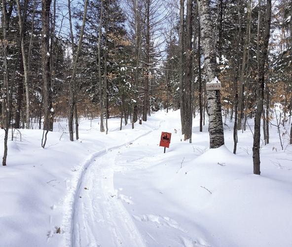 Nordic Tracks - Snowdog groomed trails