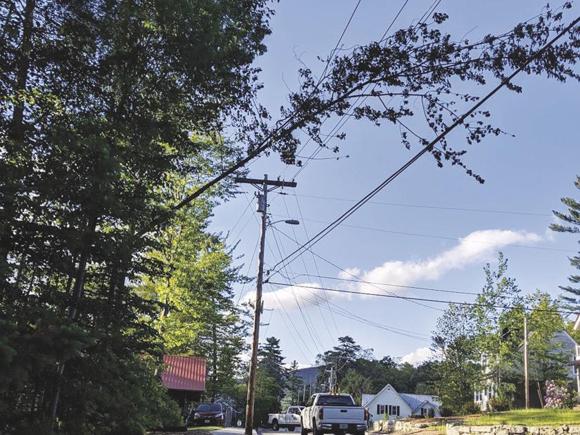 High winds topple trees, cut power Tuesday