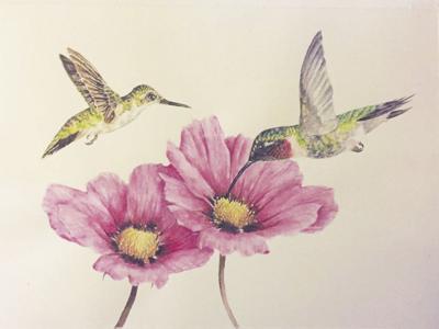 Mary Bastoni-Rebmann-Hummingbirds
