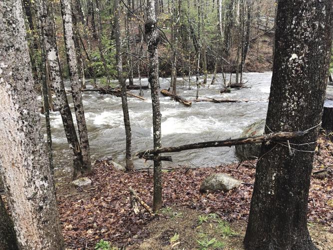 raging brook.jpg
