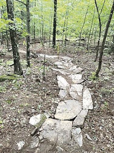 Wheel Family Fun - nice rock armor