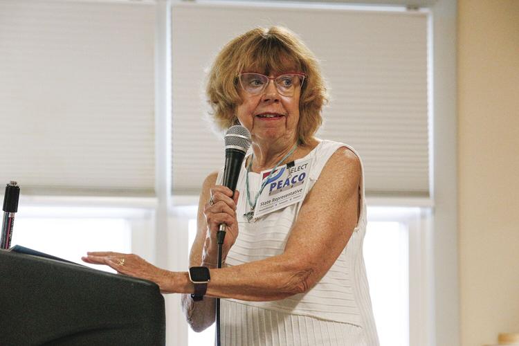 08-23-22 Dems Gibson Forum peaco side