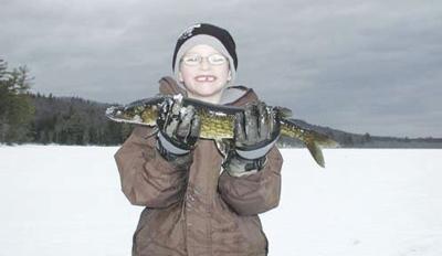 pickerel
