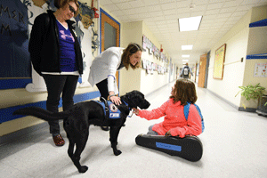 Assistance Canine Training Services to graduate three therapy and service dogs Sunday