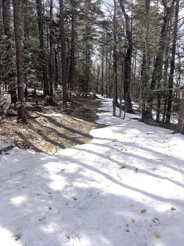 Wheel Family Fun - some trails on the sunny side were showing bare ground