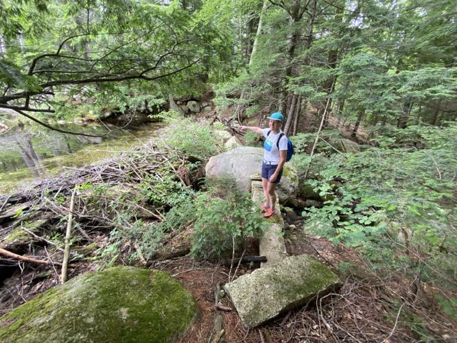 Tin Mountain Wander - rocks.jpg