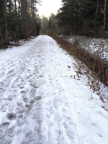 Nordic Tracks - rough conditions