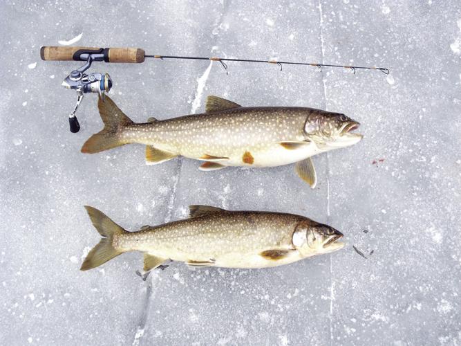 Fishing Report 1-19