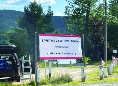 Save the view