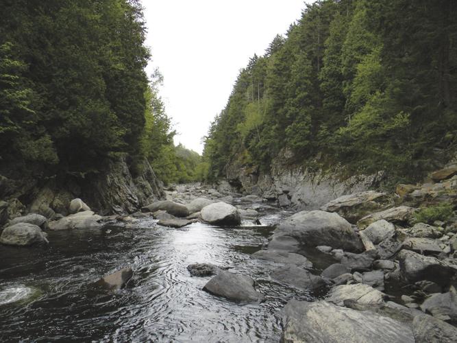 8-3-19 Parsons-Diamond Gorge