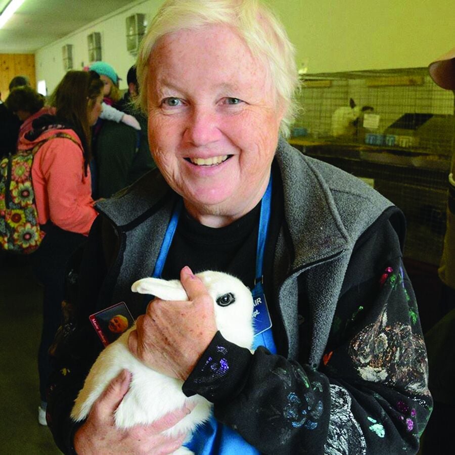 Valentina bossa video porno