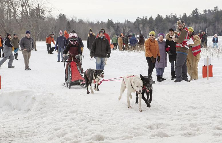 02-05-23 Sled Dogs crossing street best