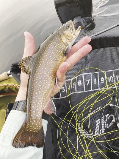 4-23-2022 North Country Angling- fish hatcheries
