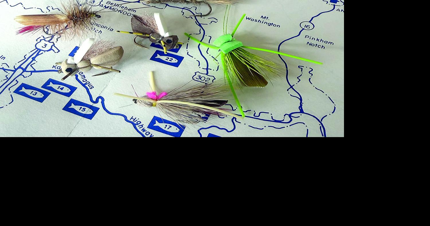 North Country Angling: Hopper – dropper time Jul 31, 2026 2 mins ago