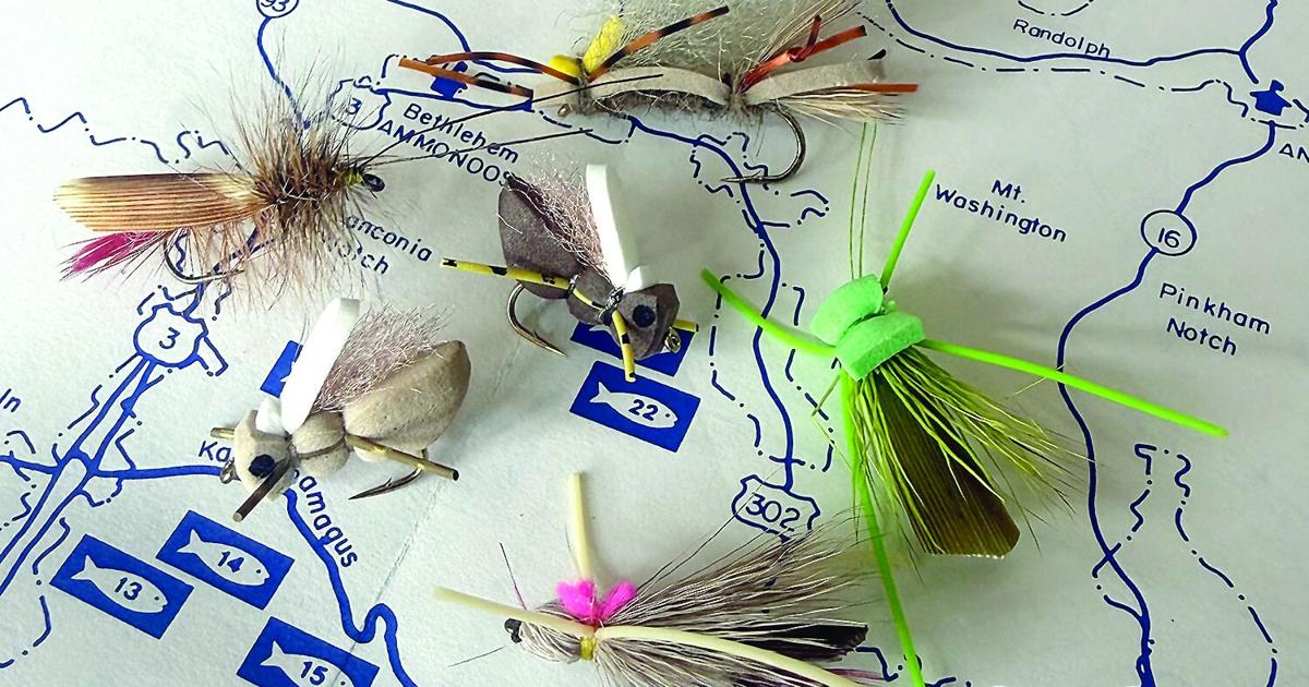 North Country Angling: Hopper – dropper time Jul 31, 2026 2 mins ago
