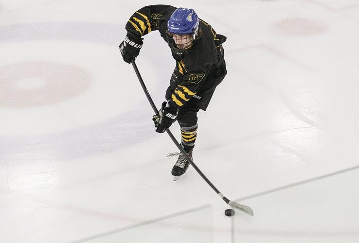 12-28-23 Peter Hall Hockey truman medium