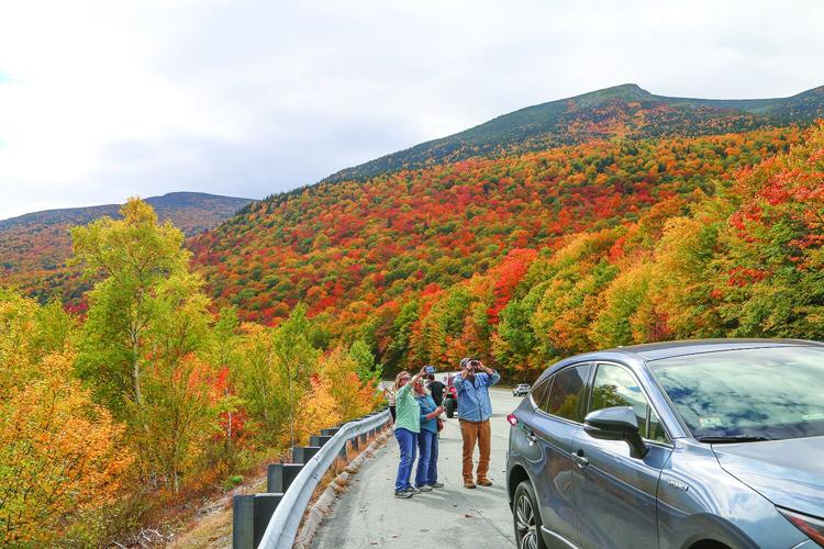 10-01-26 Foliage deadmans peepers near car