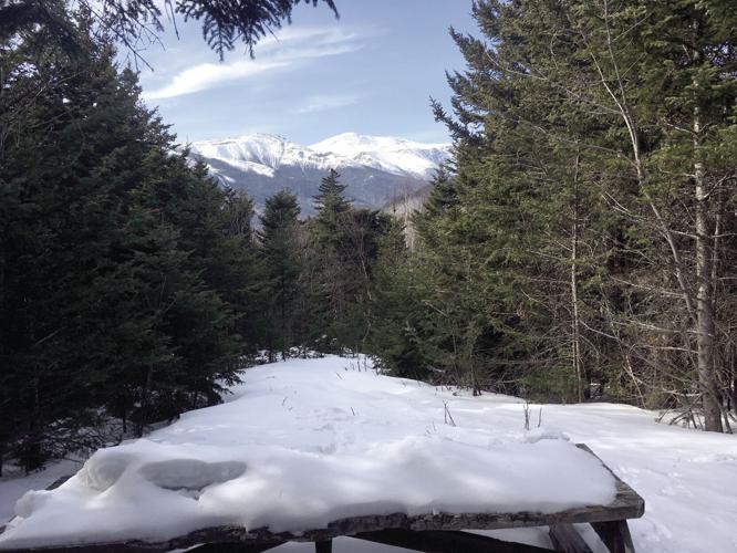 Nordic Tracks — view of Mount Washington