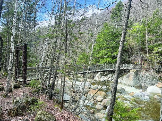 Hiking - Dry River suspension bridge