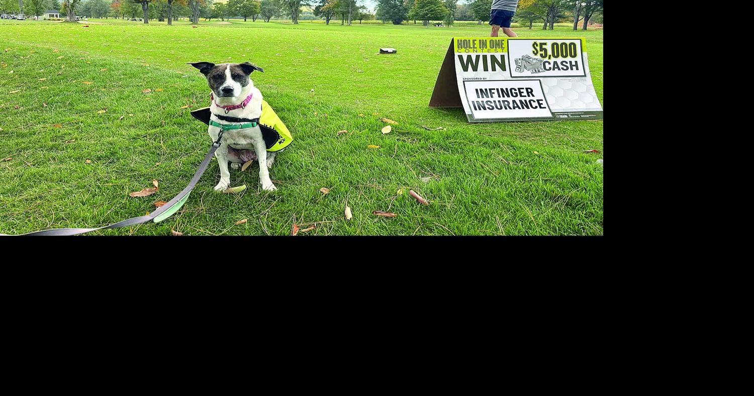 Golf Column - North Conway Country Club - Trixie at Putts for Pets ...