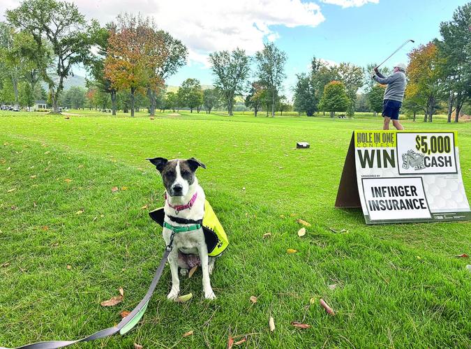 Golf Column - North Conway Country Club - Trixie at Putts for Pets