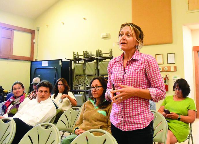 Jackson School Baord - SAU 9 - Sasha Tracy