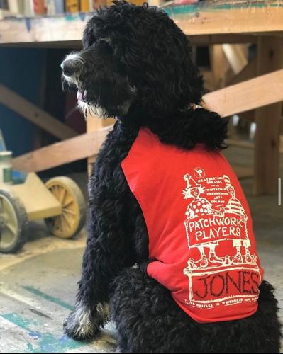 Pet-friendly theatre