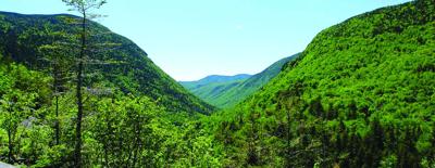 Crawford-Notch-State-Park5.jpg
