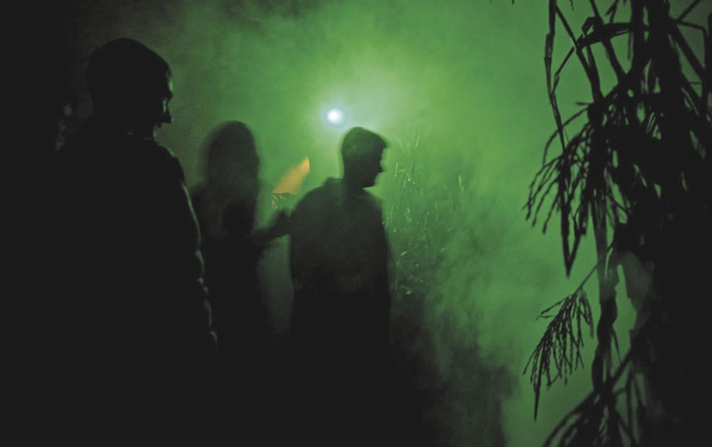 Happy haunting grounds: Lift the veil, if you dare!