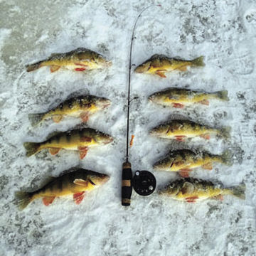 Nh Fishing Report January 28 Fishing Conwaydailysun Com