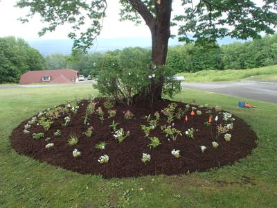 Weeks State Parks welcomes pollinators