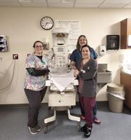 North Country Healthcare nurses climb Clinical Ladder