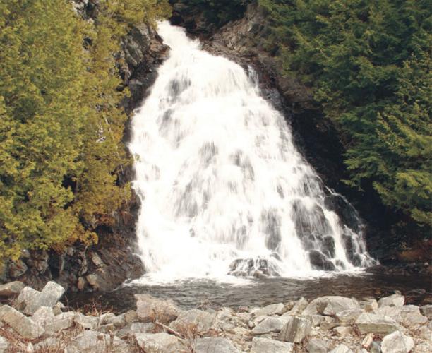 Alpine cascade.jpg
