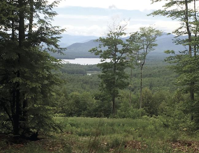 Wheel Family Fun - Far off views of Conway Lake
