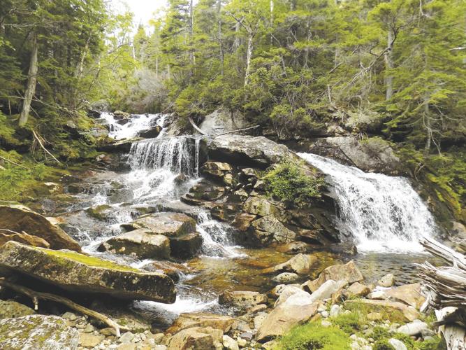 8-20-2022 Parsons-Peabody River in the Great Gulf