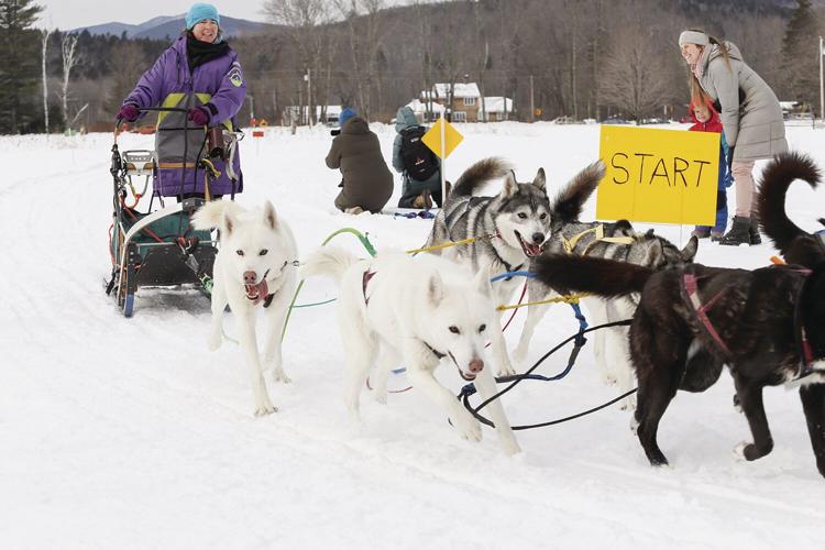 02-05-23 Sled Dogs low tightest