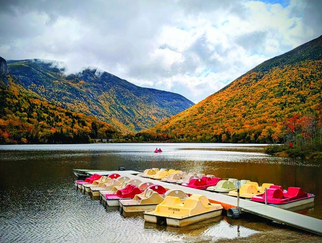 Foliage - Third place - Franconia Notch