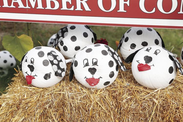 10-05-21 Pumpkins debony dogs