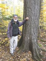One last foliage hike to the Bowl Research Natural Area