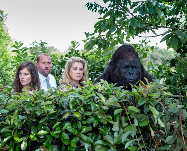 8 Days a Week: LSD Lessons, Ladies' Health Rallies, and Letter-Writing Parties