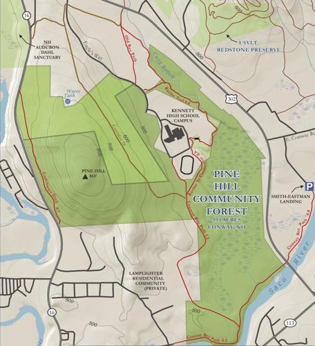 pine hill map