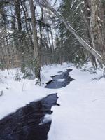 Lovell land trust acquires close to 1,000 acres