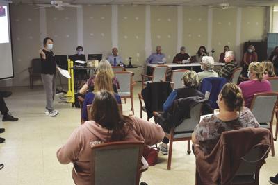 ARPA Hearing Patty Kane