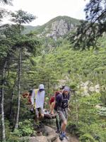 Hiker rescued from 19 Mile Brook Trail in Green's Grant