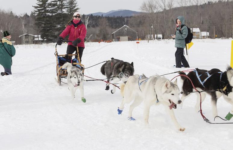 02-05-23 Sled Dogs low wide