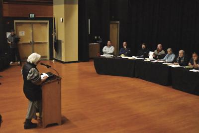 Eve Klotz attended the Municipal Budget Committee