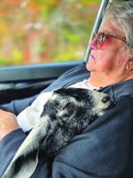 Obituary: Mary Ann Magee McKeen