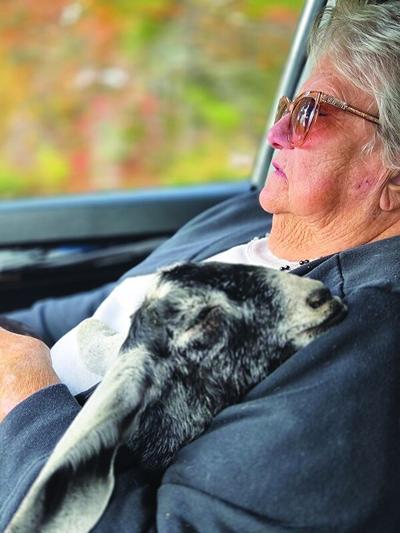 mckeen