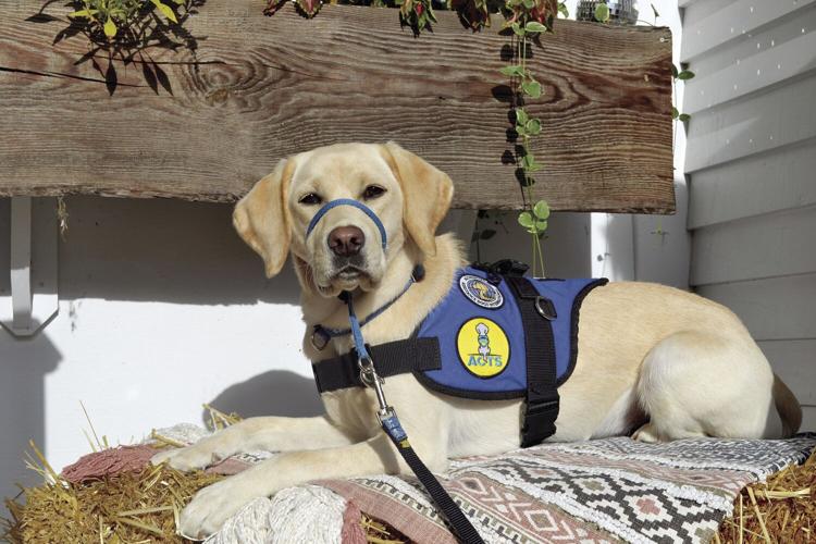 ACTS - Jonsey is 10 months old