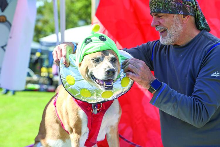 09-20-25 Bark in Park medium costume